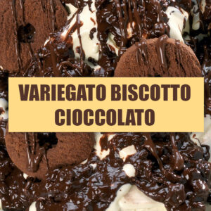 Variegato Biscotto Cioccolato