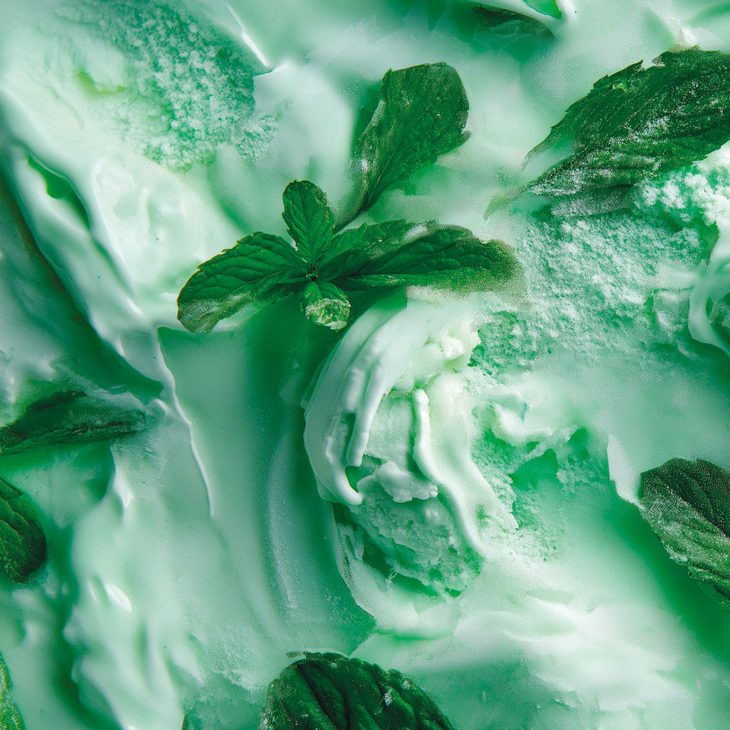 Menta Verde Menta Verde